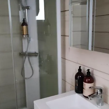 Kipinae Lomat - Loimu-moekki *