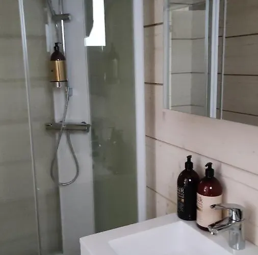 Kipinae Lomat - Loimu-moekki *